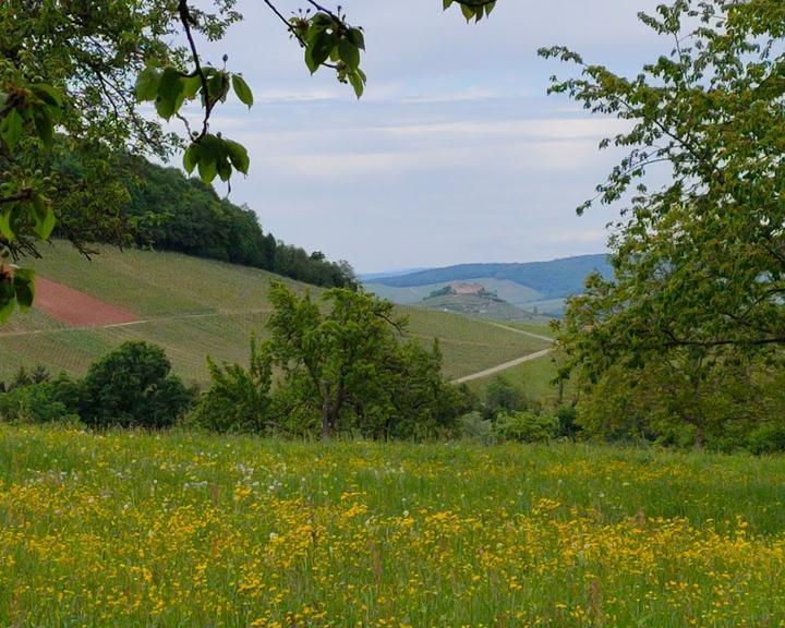 Fauststube im Loewen